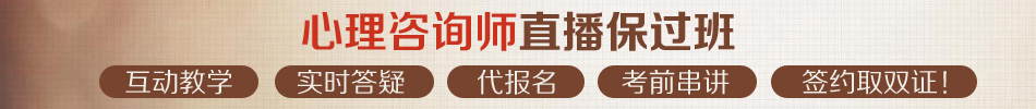 2013年心理咨询师直播保过班