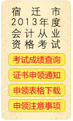 2013年泗阳县会计从业资格考试成绩查询入口
