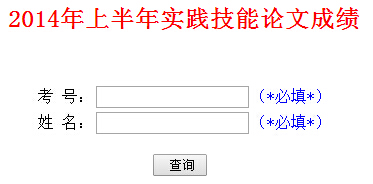 山东自考实践技能论文成ç»?