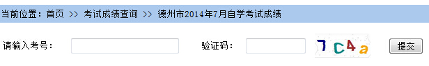 德州自考查成绩查询入口